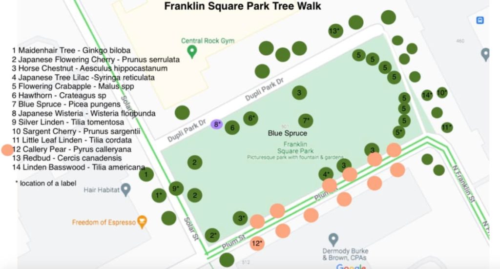 Franklin Square Tree Walk