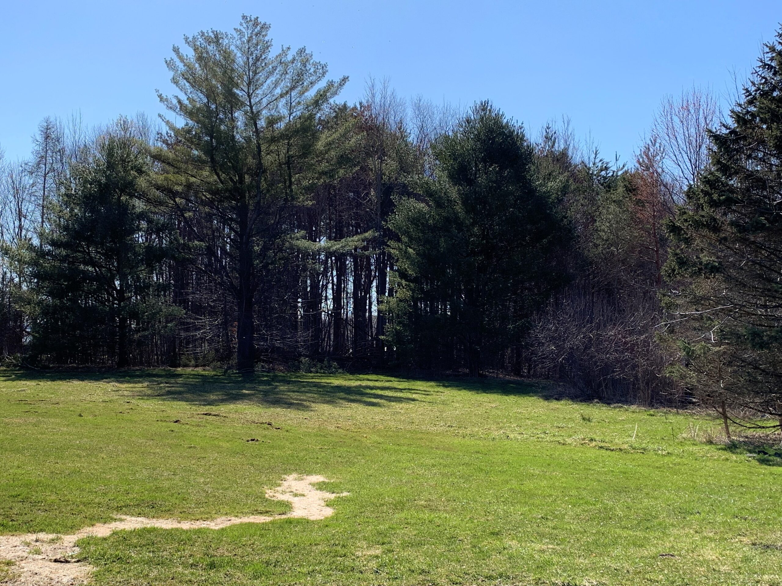 Eastern Parcel Boundary