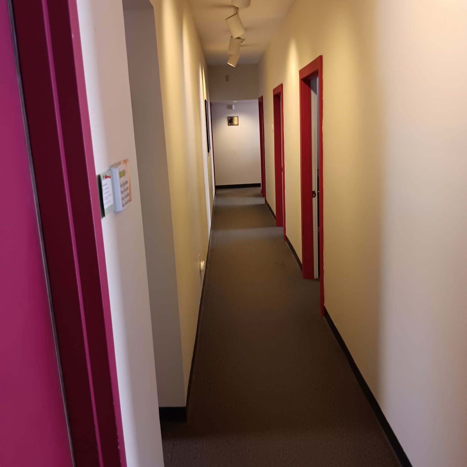 image1 (1)